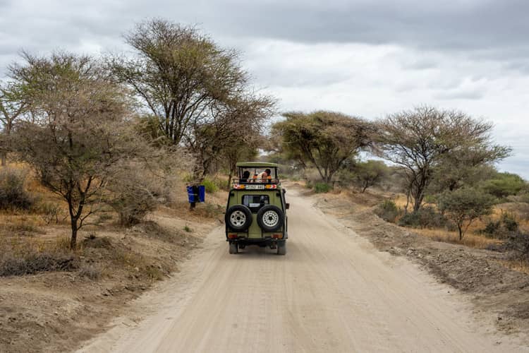 Un safari en Tanzanie